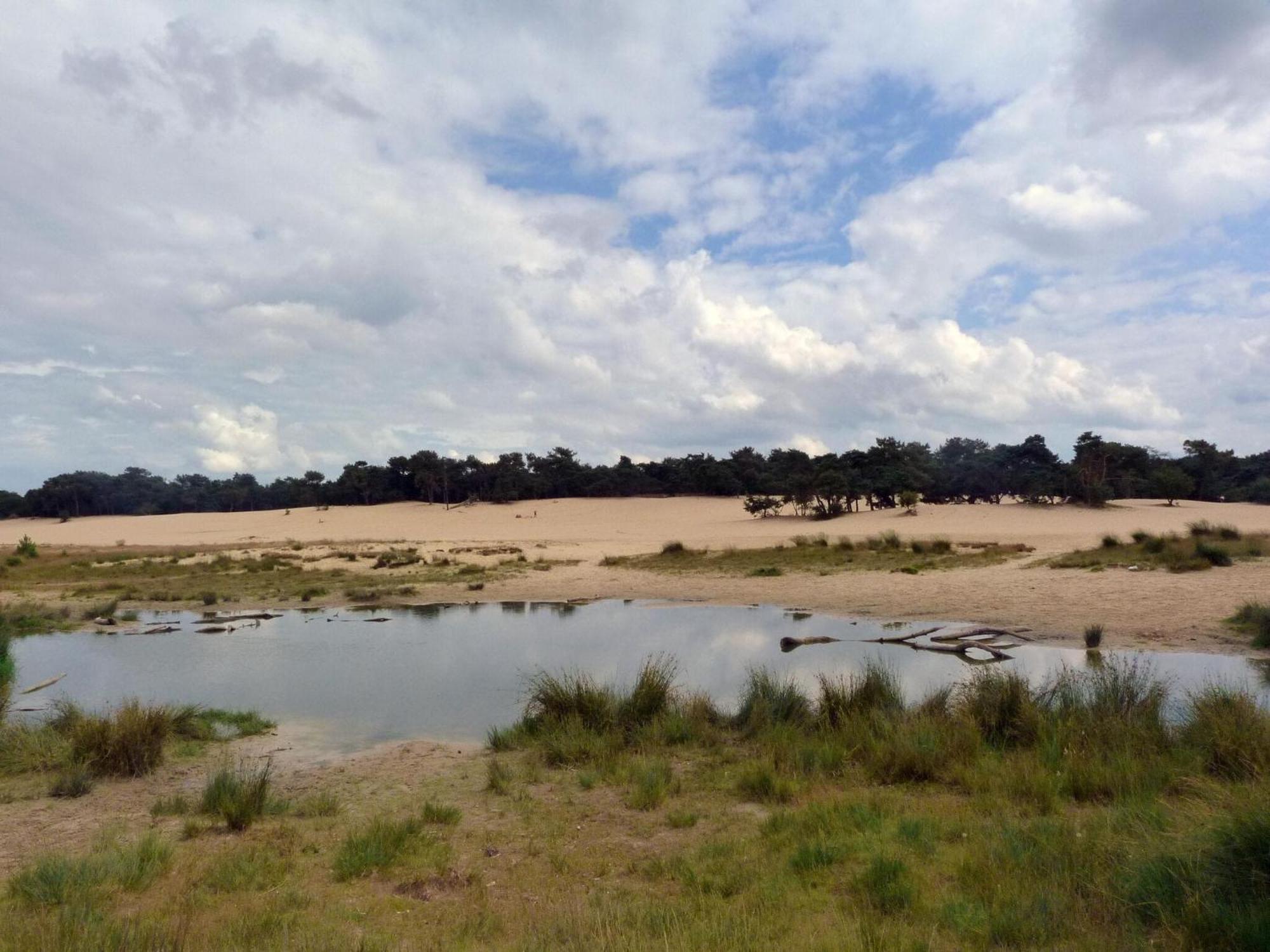Chalet Near The Loonse And Drunense Duinen Udenhout Eksteriør bilde